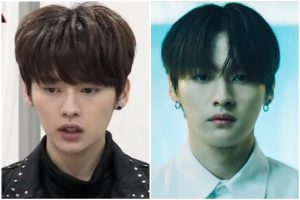 デビュー前後のリノ比較