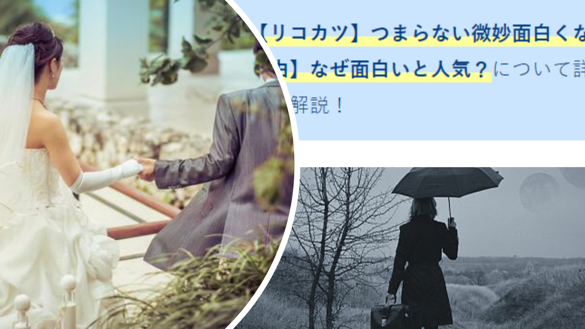 リコカツ つまらない微妙面白くない 5つの理由 なぜ面白いと人気 Anser