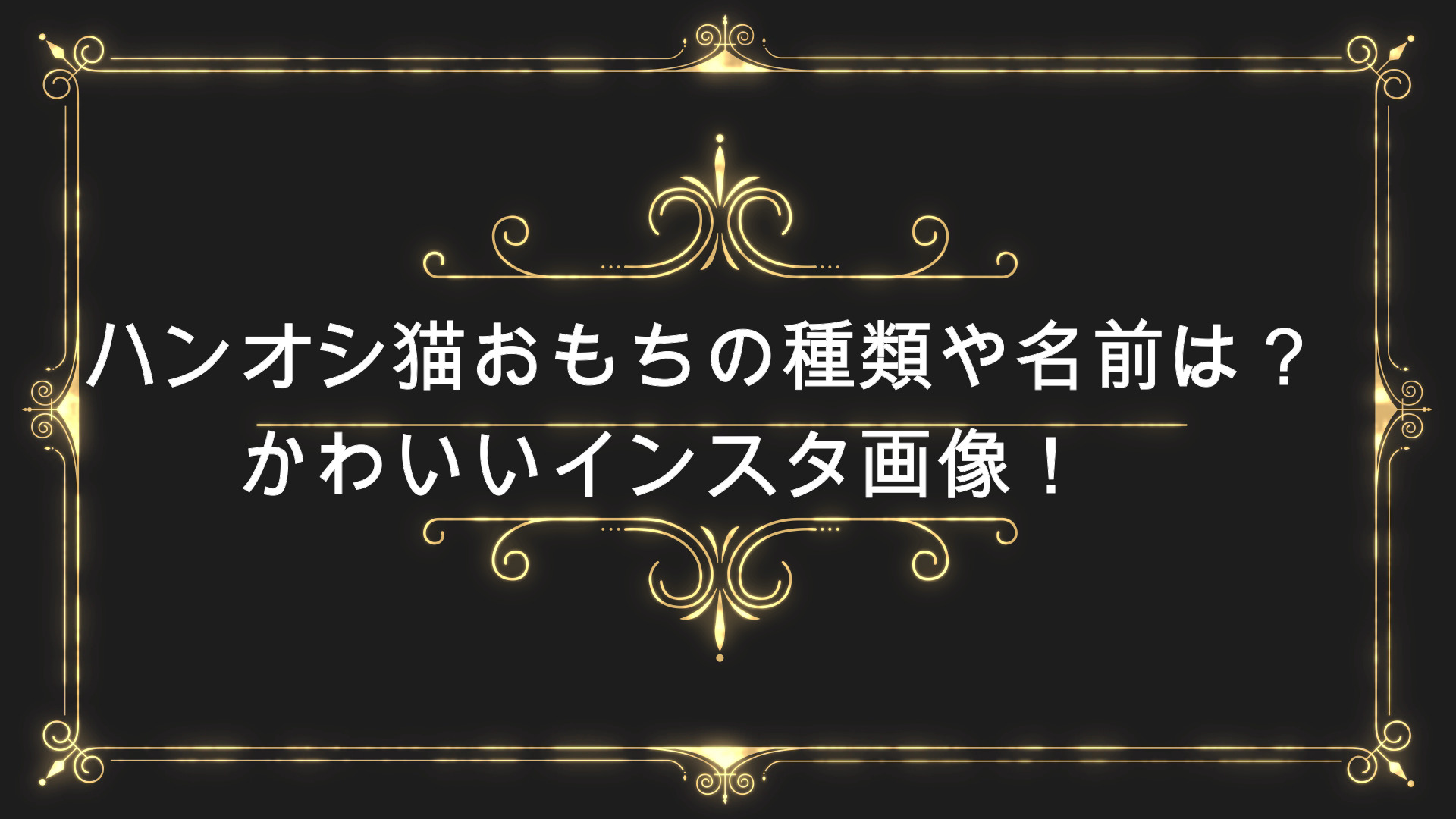 婚姻届に判を捺しただけですが猫おもちの種類や名前は かわいいインスタ画像 Anser