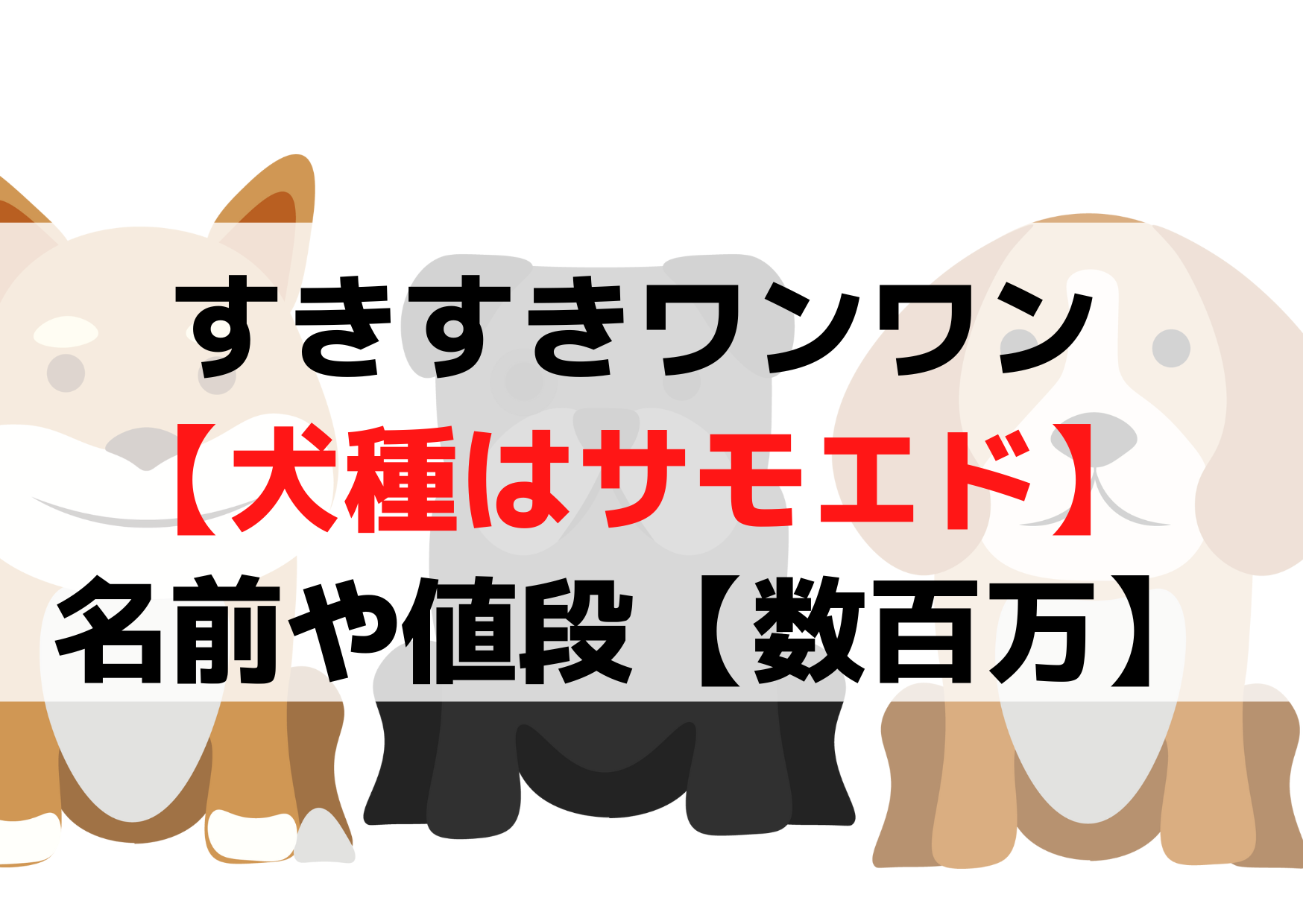 すきすきワンワン【犬種サモエド】名前や値段【数百万】ワンちゃんがかわいい！