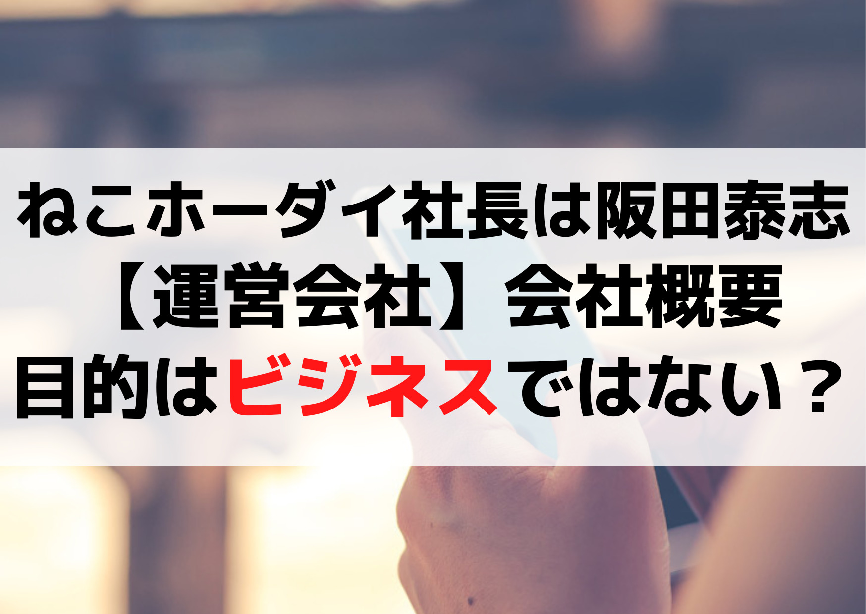 ねこホーダイ社長は阪田泰志【運営会社】会社概要や目的はビジネスではない？