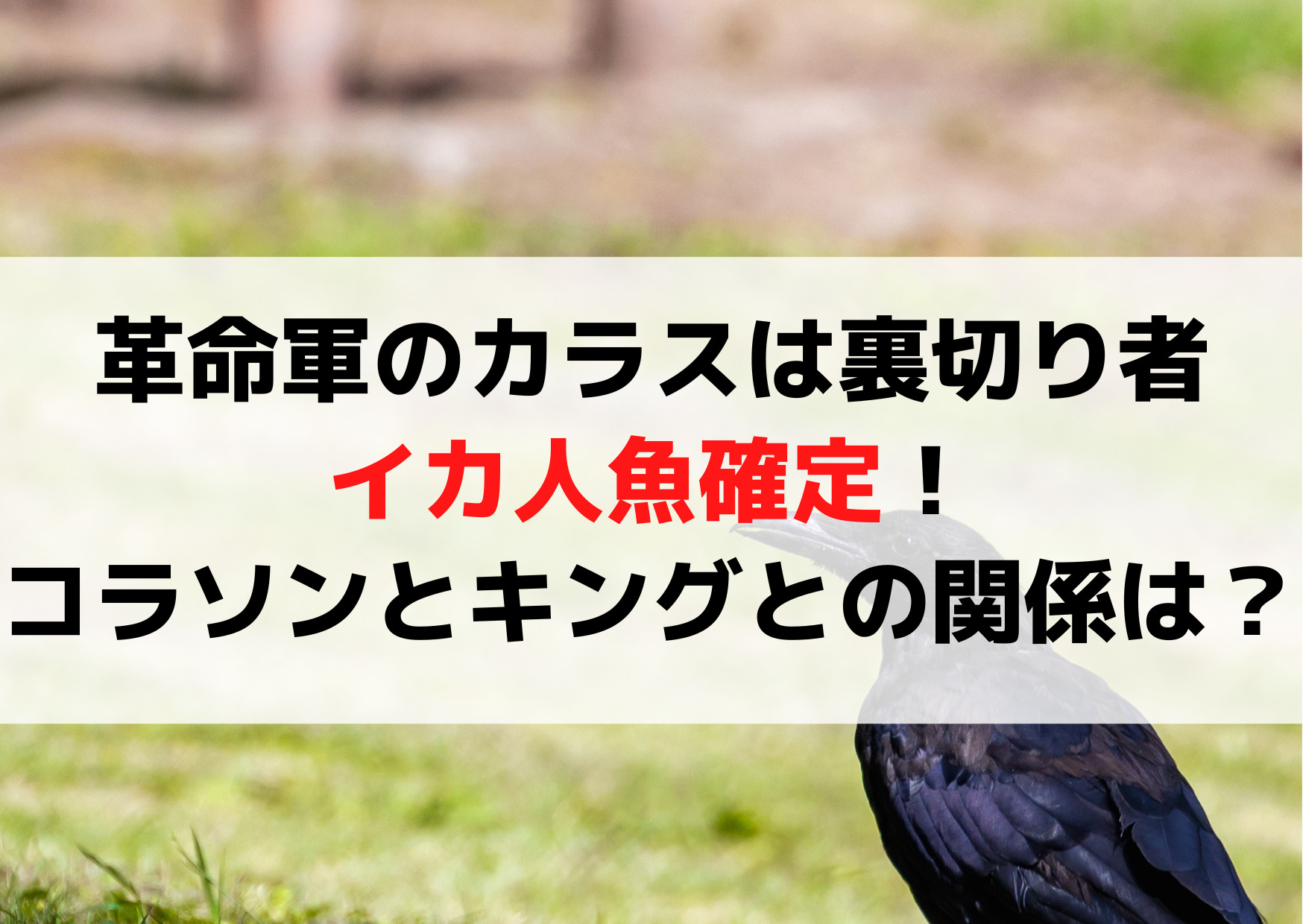 革命軍のカラスは裏切り者【正体考察スパイ】イカ人魚確定！コラソンとキングとの関係は？