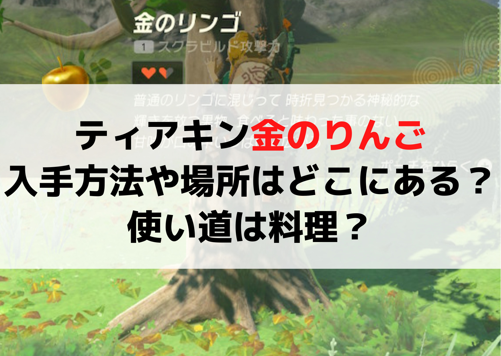 ティアキン金のりんご入手方法や場所はどこにある？使い道は料理？