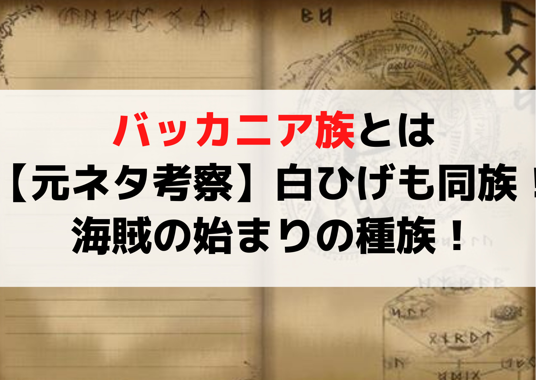 バッカニア族とは【元ネタ考察】シャンクスや白ひげも同族！海賊の始まりの種族！