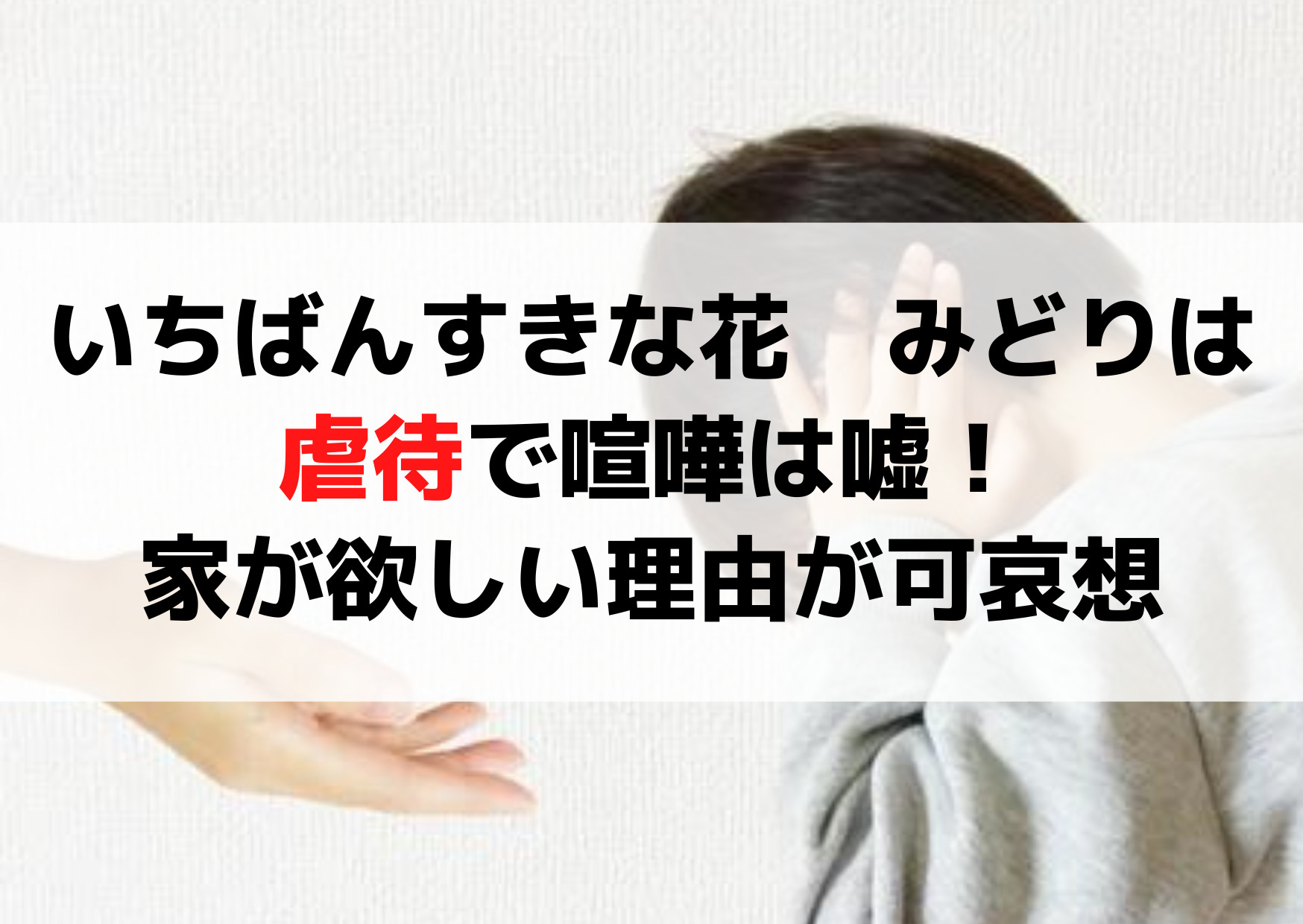 いちばんすきな花みどりちゃんは虐待で喧嘩は嘘！家が欲しい理由が可哀想