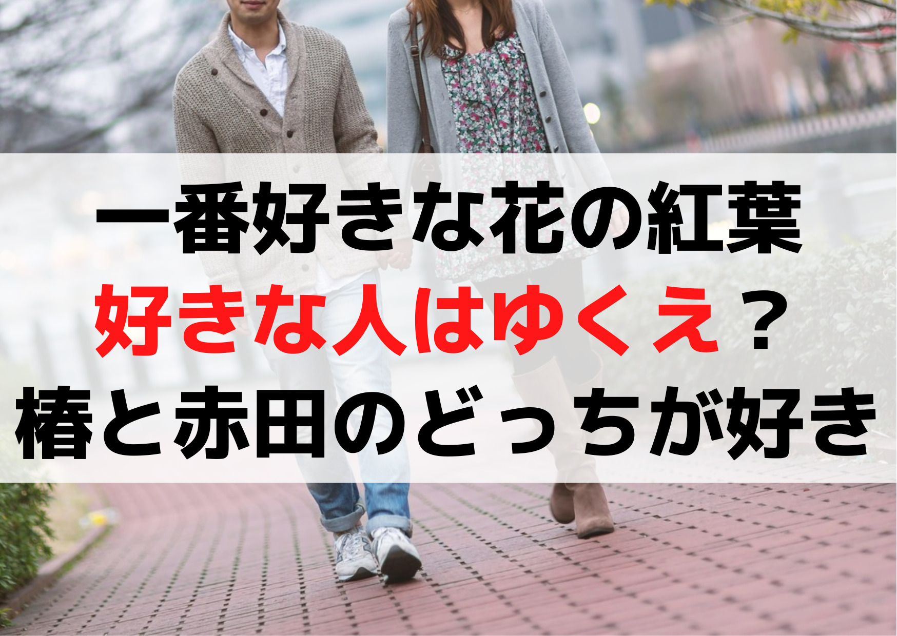 一番好きな花の紅葉の好きな人はゆくえ？椿と赤田のどっちが好き？
